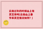 云南过年的时候山上有灵芝采吗(云南山上春节采灵芝情况如何？)