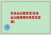 无名山公园灵芝(无名山公园发现珍贵灵芝资源)