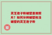 灵芝孢子粉破壁显微照片？如何分辨破壁和没破壁的灵芝孢子粉