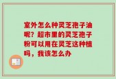 室外怎么种灵芝孢子油呢？超市里的灵芝孢子粉可以用在灵芝这种植吗，我该怎么办