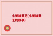 小英雄灵芝(小英雄灵芝的故事)