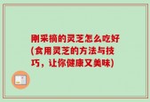 刚采摘的灵芝怎么吃好(食用灵芝的方法与技巧，让你健康又美味)