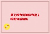 灵芝粉为何被称为孢子粉的背后解析