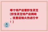 哪个特产店要野生灵芝(野生灵芝特产店揭晓，优惠促销火热进行中！)