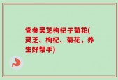 党参灵芝枸杞子菊花(灵芝、枸杞、菊花，养生好帮手)