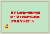灵芝多糖治疗腰肌劳损吗？灵芝的功效与作用及食用方法是什么