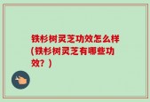 铁杉树灵芝功效怎么样(铁杉树灵芝有哪些功效？)
