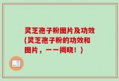 灵芝孢子粉图片及功效(灵芝孢子粉的功效和图片，一一揭晓！)