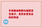 半夜醒来默默吃破壁灵芝孢子，竟然会发生这样的奇迹