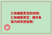 仁和破壁灵芝的功效(仁和破壁灵芝：提升免疫力的天然选择)