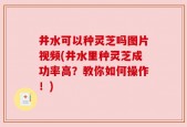 井水可以种灵芝吗图片视频(井水里种灵芝成功率高？教你如何操作！)
