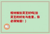 棺材板捡灵芝好吗(捡灵芝的好处与危害，你必须知道！)