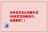 松树灵芝怎么种植方法(松树灵芝种植技巧，全面解析！)