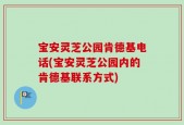 宝安灵芝公园肯德基电话(宝安灵芝公园内的肯德基联系方式)