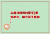 与君初相识的灵芝(重逢老友，探寻灵芝奥秘)