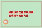 橄榄枝灵芝孢子粉胶囊的功效与使用方法