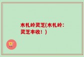 木札岭灵芝(木札岭：灵芝丰收！)