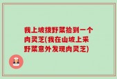 我上坡拨野菜拾到一个肉灵芝(我在山坡上采野菜意外发现肉灵芝)