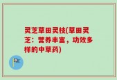 灵芝草田灵枝(草田灵芝：营养丰富，功效多样的中草药)