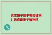 灵芝孢子属于哪类植物？天麻是孢子植物吗