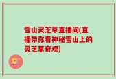 雪山灵芝草直播间(直播带你看神秘雪山上的灵芝草奇观)