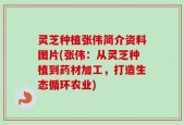 灵芝种植张伟简介资料图片(张伟：从灵芝种植到药材加工，打造生态循环农业)