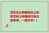 灵芝怎么种植在树上的灵芝树上种植技巧及注意事项，一网打尽！)