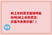 树上长的灵芝值钱吗能吃吗(树上长的灵芝：价值与食用价值？)