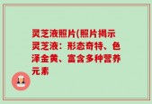 灵芝液照片(照片揭示灵芝液：形态奇特、色泽金黄、富含多种营养元素