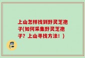 上山怎样找到野灵芝孢子(如何采集野灵芝孢子？上山寻找方法！)
