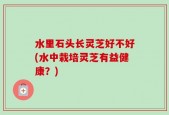水里石头长灵芝好不好(水中栽培灵芝有益健康？)