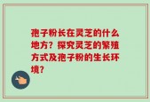 孢子粉长在灵芝的什么地方？探究灵芝的繁殖方式及孢子粉的生长环境？