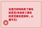 无意打碎妈妈养了两年的灵芝(母亲养了两年的灵芝被无意摔碎，心痛不已)