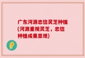 广东河源忠信灵芝种植(河源重视灵芝，忠信种植成果显现)
