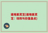 道地紫灵芝(道地紫灵芝：功效与价值盘点)