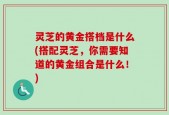 灵芝的黄金搭档是什么(搭配灵芝，你需要知道的黄金组合是什么！)