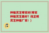 种植灵芝哪家好(哪家种植灵芝最好？找正规灵芝种植厂家！)