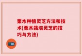 栗木种植灵芝方法和技术(栗木栽培灵芝的技巧与方法)