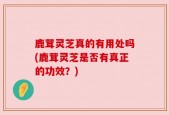 鹿茸灵芝真的有用处吗(鹿茸灵芝是否有真正的功效？)