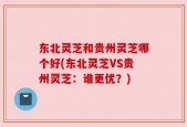 东北灵芝和贵州灵芝哪个好(东北灵芝VS贵州灵芝：谁更优？)