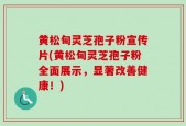 黄松甸灵芝孢子粉宣传片(黄松甸灵芝孢子粉全面展示，显著改善健康！)