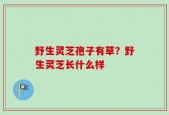 野生灵芝孢子有草？野生灵芝长什么样