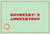 如何分别灵芝孢子？怎么辨别灵芝孢子粉好坏