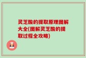 灵芝酸的提取原理图解大全(图解灵芝酸的提取过程全攻略)