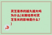 灵芝是养的越久越大吗为什么(长期培养对灵芝生长的影响是什么？)