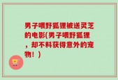 男子喂野狐狸被送灵芝的电影(男子喂野狐狸，却不料获得意外的宠物！)