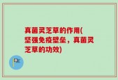 真菌灵芝草的作用( 坚强免疫壁垒，真菌灵芝草的功效)