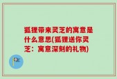 狐狸带来灵芝的寓意是什么意思(狐狸送你灵芝：寓意深刻的礼物)