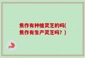 焦作有种植灵芝的吗(焦作有生产灵芝吗？)