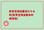 野灵芝炖汤要泡几个小时(野灵芝炖汤需长时间浸泡)